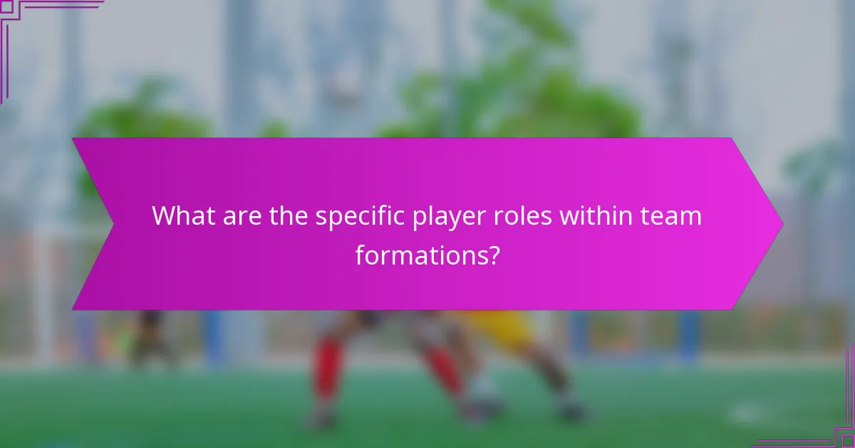 What are the specific player roles within team formations?