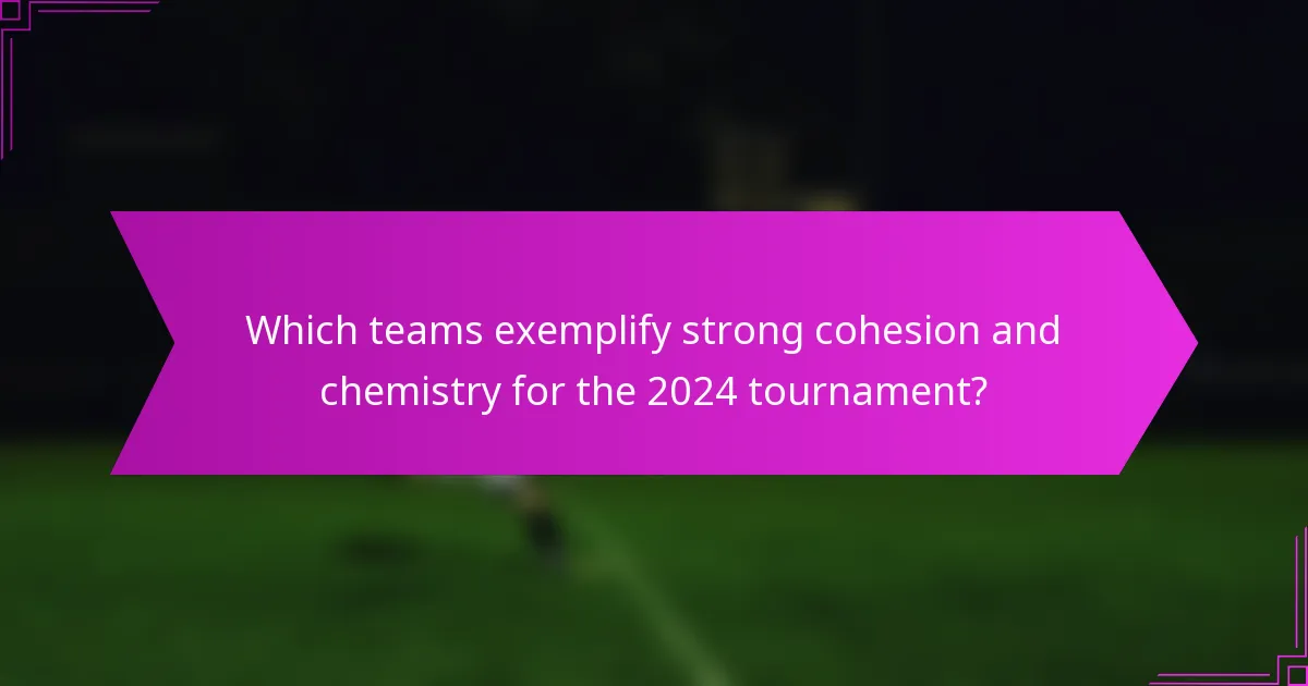 Which teams exemplify strong cohesion and chemistry for the 2024 tournament?